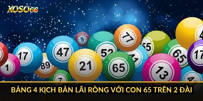 Bảng 4 kịch bản lãi ròng với con 65 trên 2 đài
