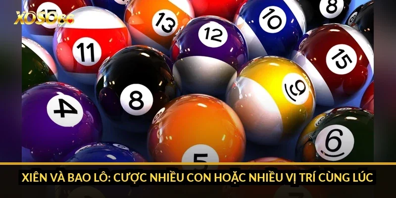 Cách chơi xổ số Xoso66: 3 miền, siêu tốc, Keno và các kiểu cược 3 Xiên và bao lô: cược nhiều con hoặc nhiều vị trí cùng lúc