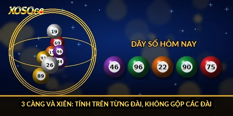 3 càng và xiên: tính trên từng đài, không gộp các đài
