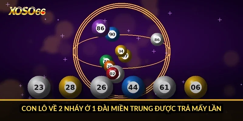 Cách chơi xổ số miền Trung Xoso66: chọn đài, 17h15 và dò 18 giải 5 Con lô về 2 nháy ở 1 đài miền Trung được trả mấy lần?